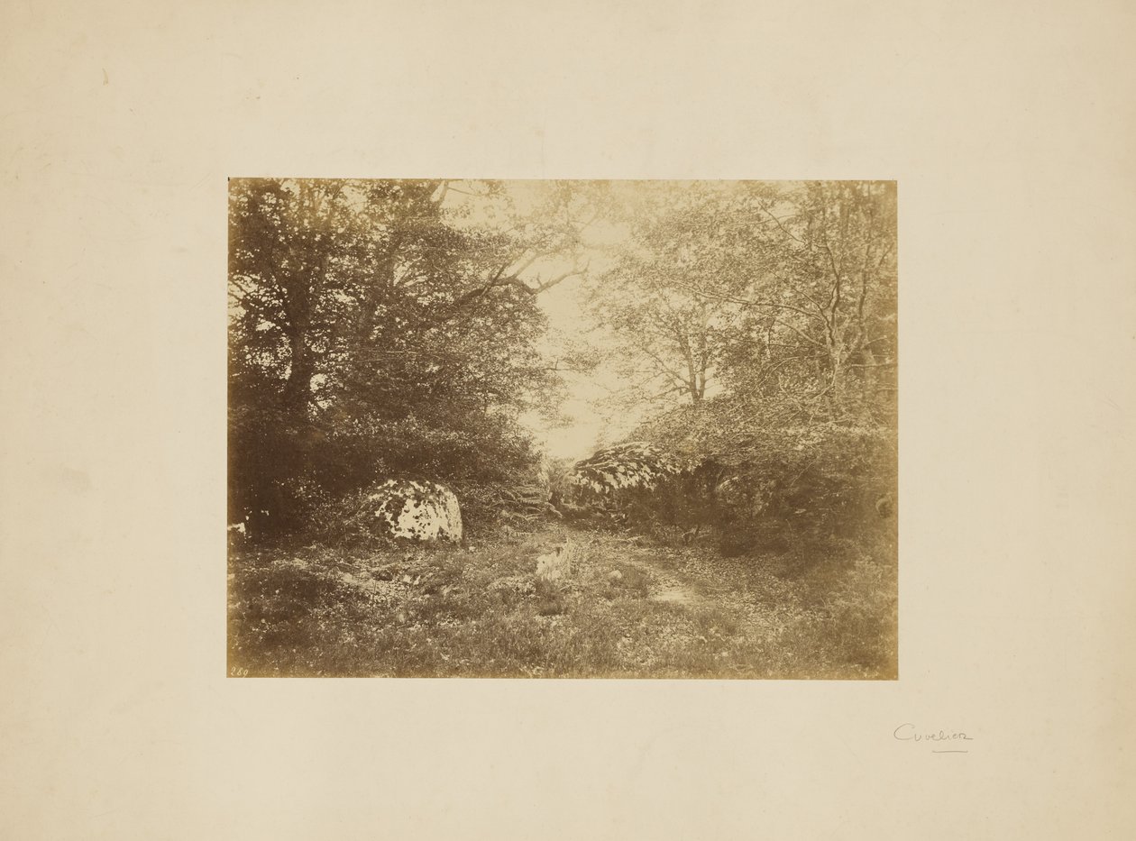 [Landschaftsstudie] von Eugène Cuvelier