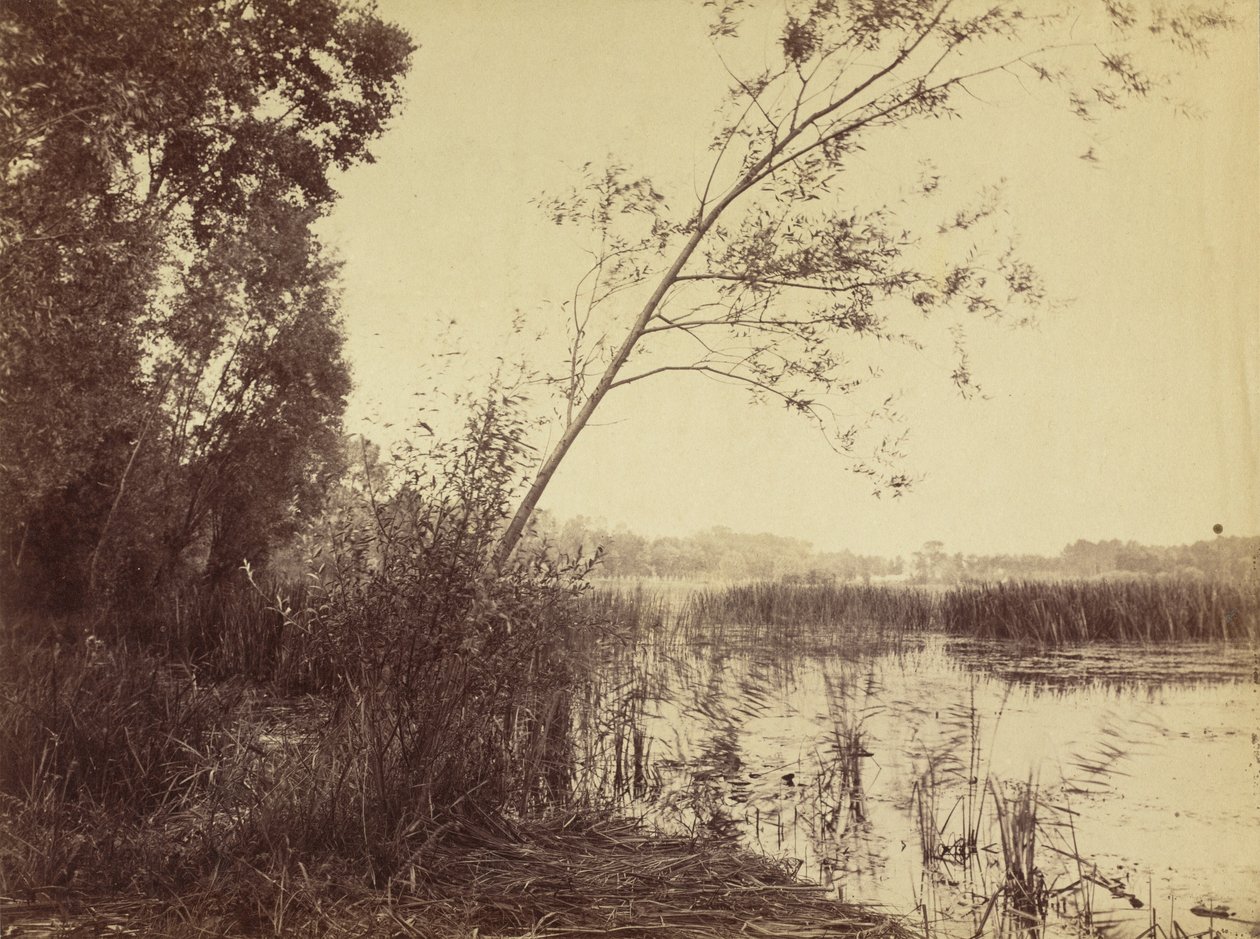 Marais de Fampoux, frühe 1860er Jahre von Eugène Cuvelier