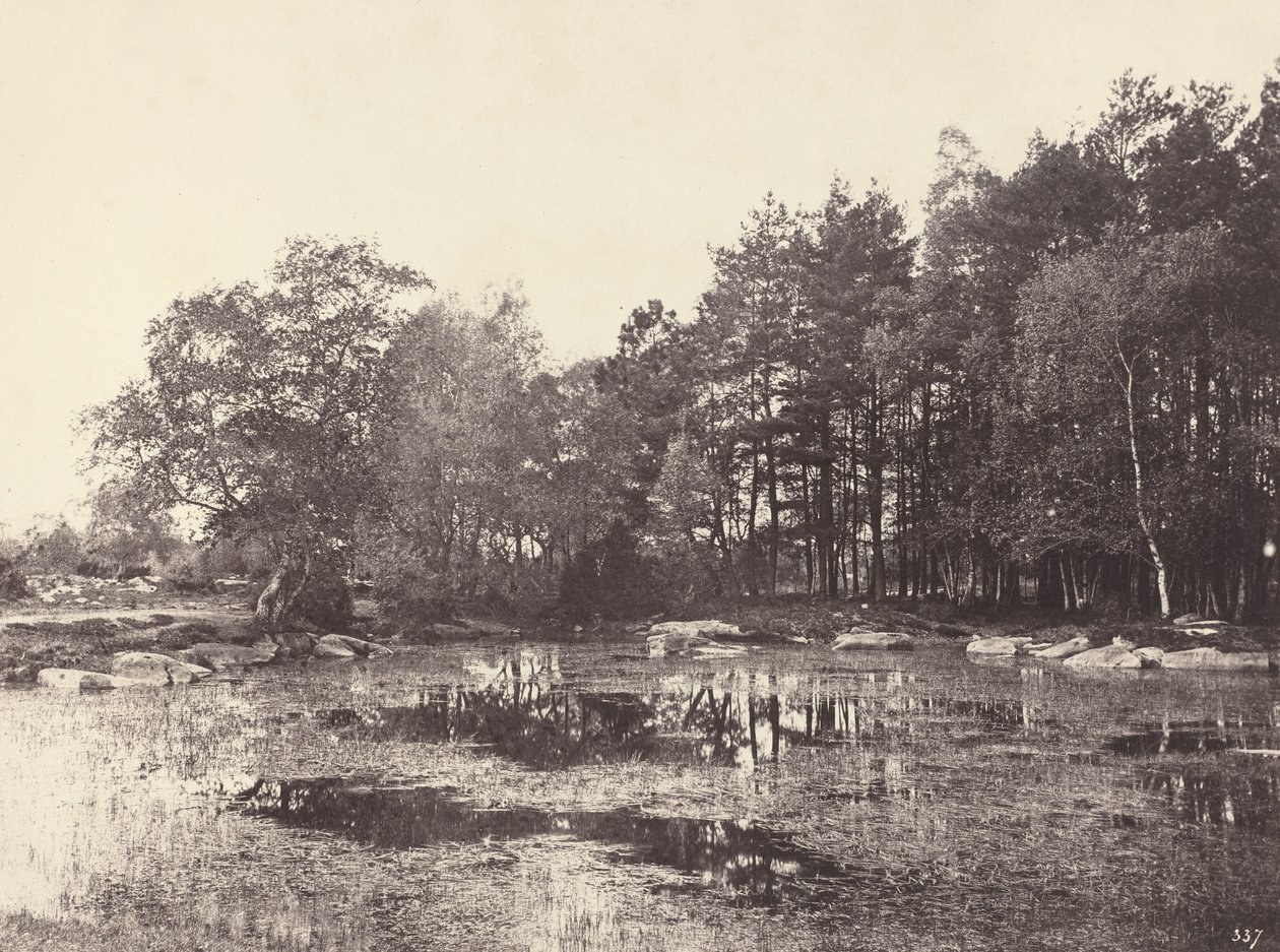 Sumpf am Piat Belle-Croix Plateau von Eugène Cuvelier