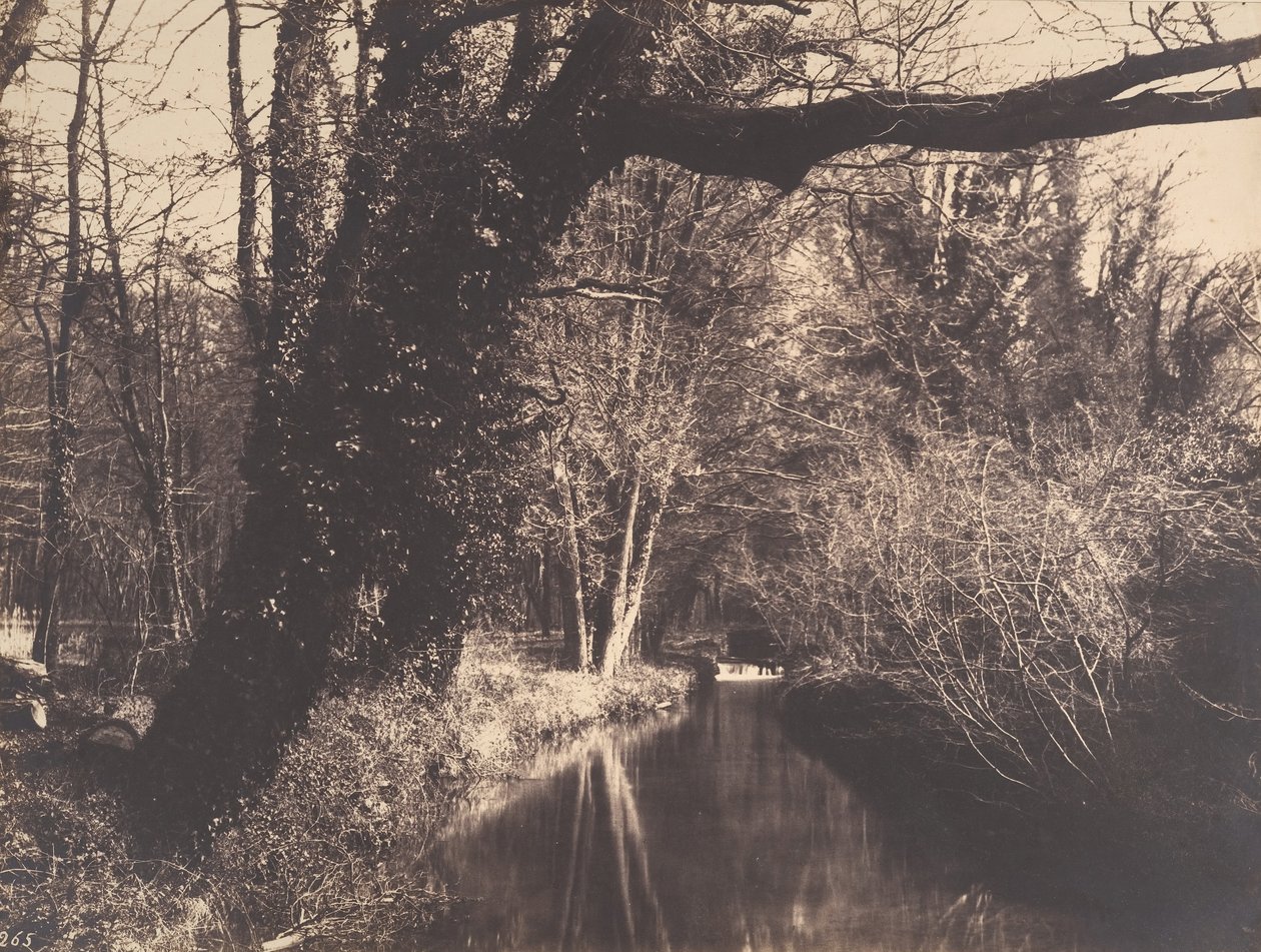 Parc de Courances, 1860-70 von Eugène Cuvelier