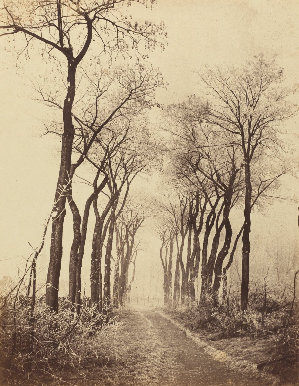 Straße und Bäume mit Raureif, 1860 von Eugène Cuvelier