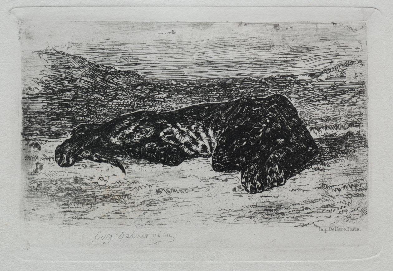 Kauernder Tiger in der Wüste von Eugène Delacroix