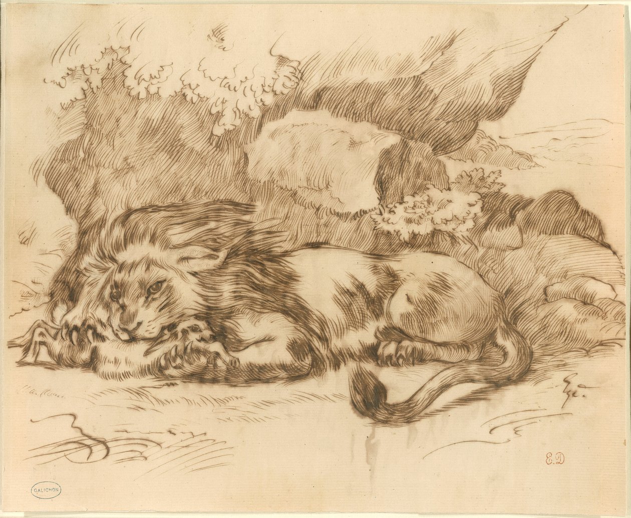 Löwe frisst ein Kaninchen von Eugène Delacroix