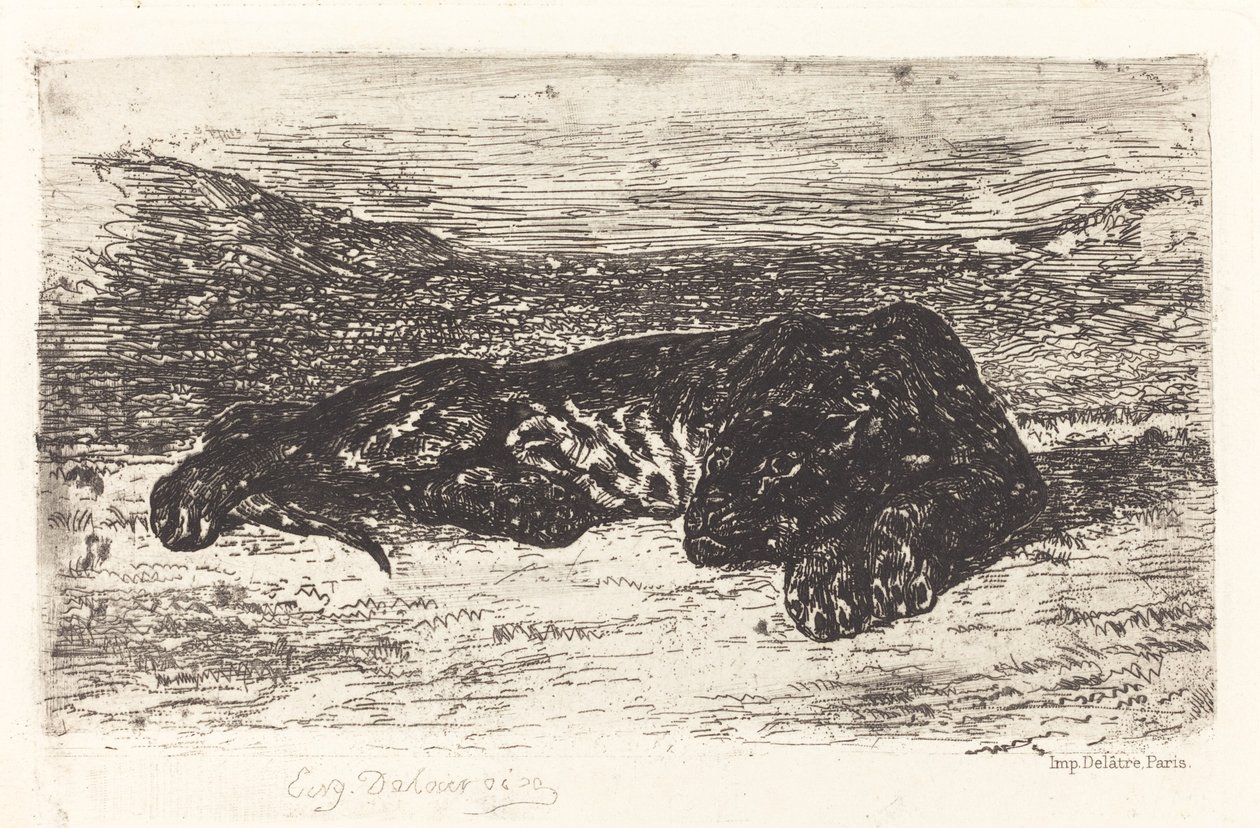 Schlafender Tiger in der Wüste, ca. 1830 von Eugène Delacroix