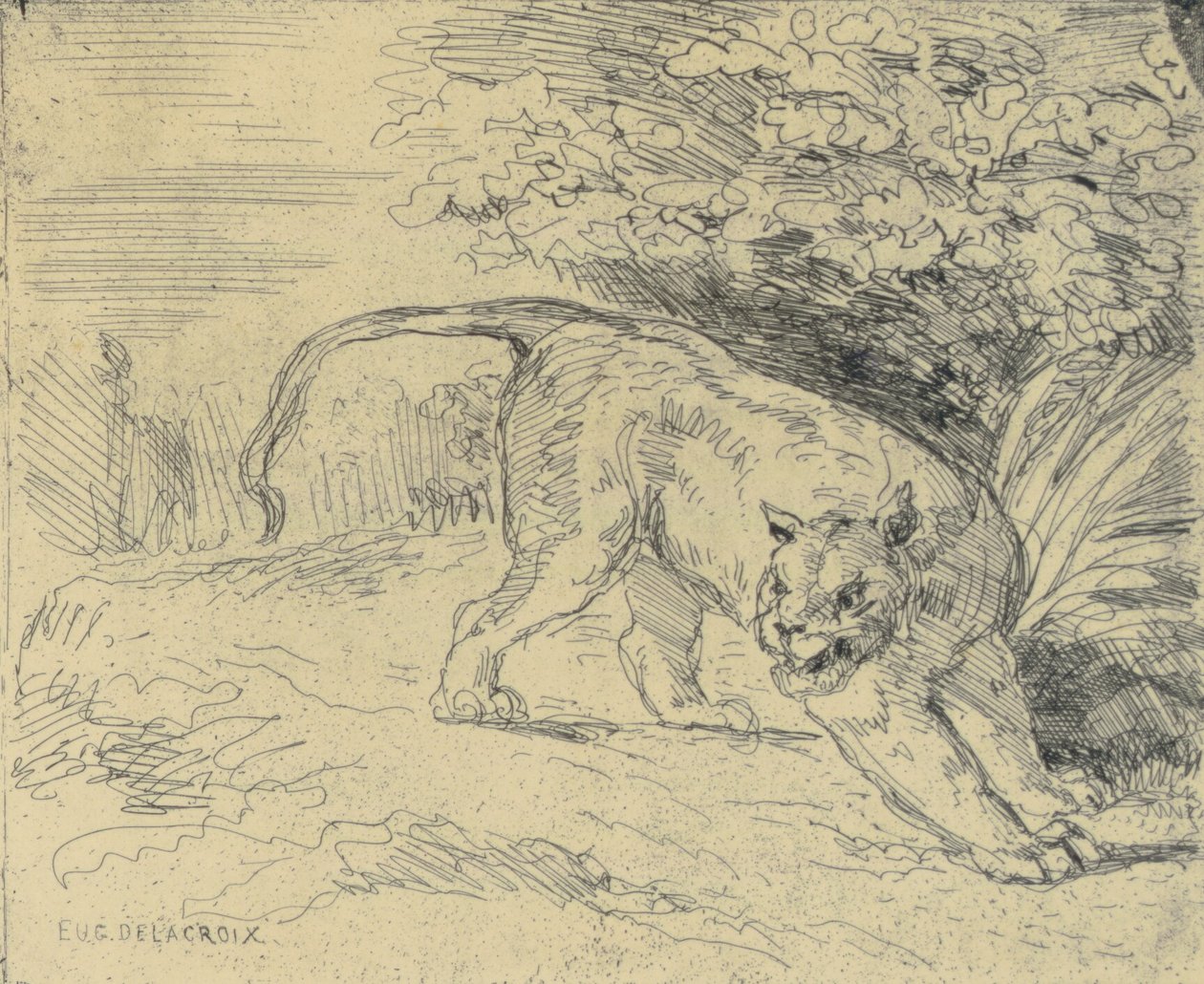 Tiger im Anschlag von Eugène Delacroix