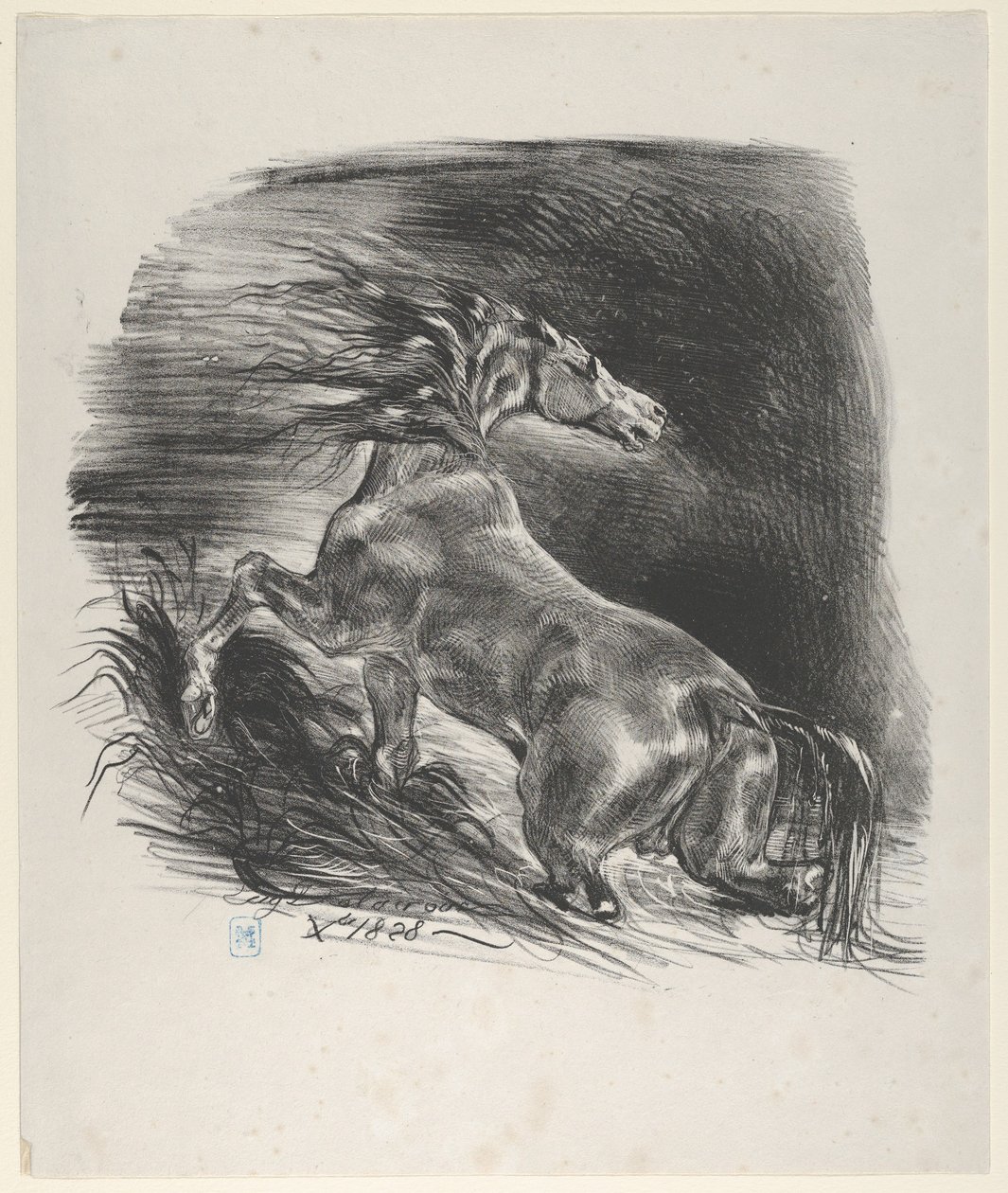 Wildes Pferd, 1828 von Eugène Delacroix