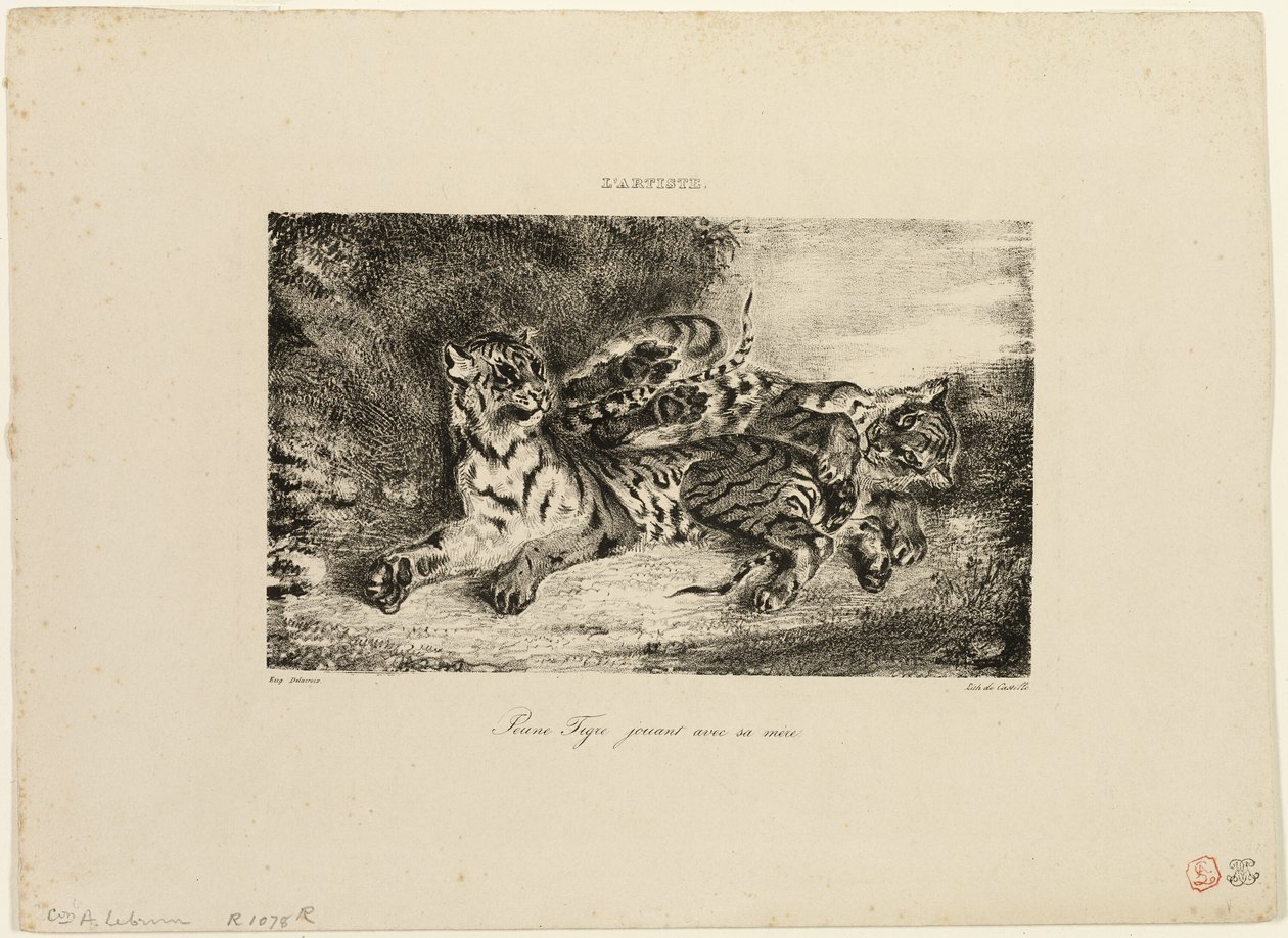 Junger Tiger spielt mit seiner Mutter von Eugène Delacroix