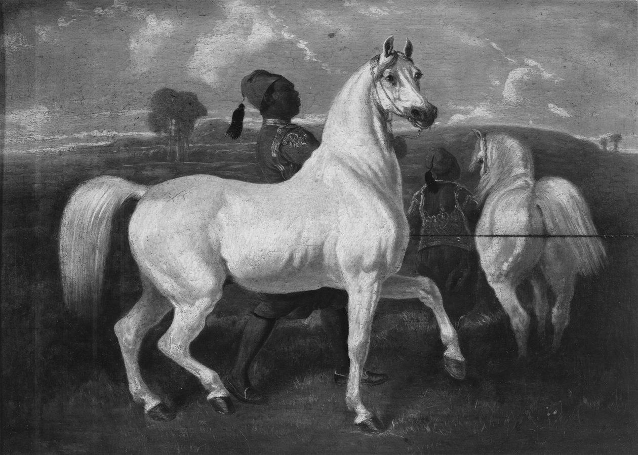 Arabische Pferde, 19. Jahrhundert von Eugène Fromentin