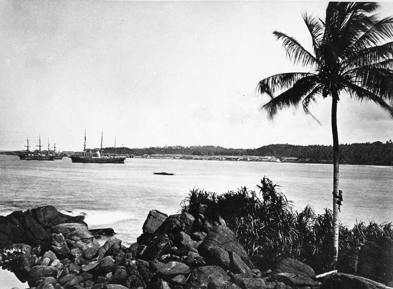 Hafen von Colombo, ca. 1860-80 von European Photographer