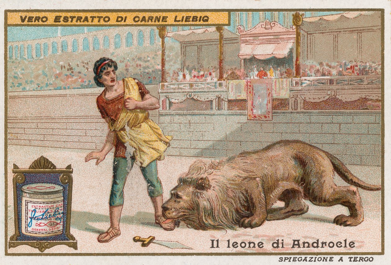 Androklus und der Löwe von European School