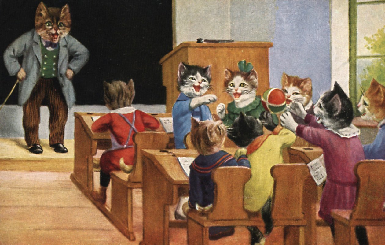Klassenzimmer der Katzen von European School