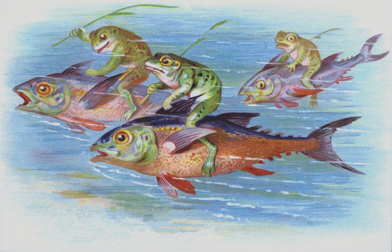 Frösche reiten auf Fischen von European School