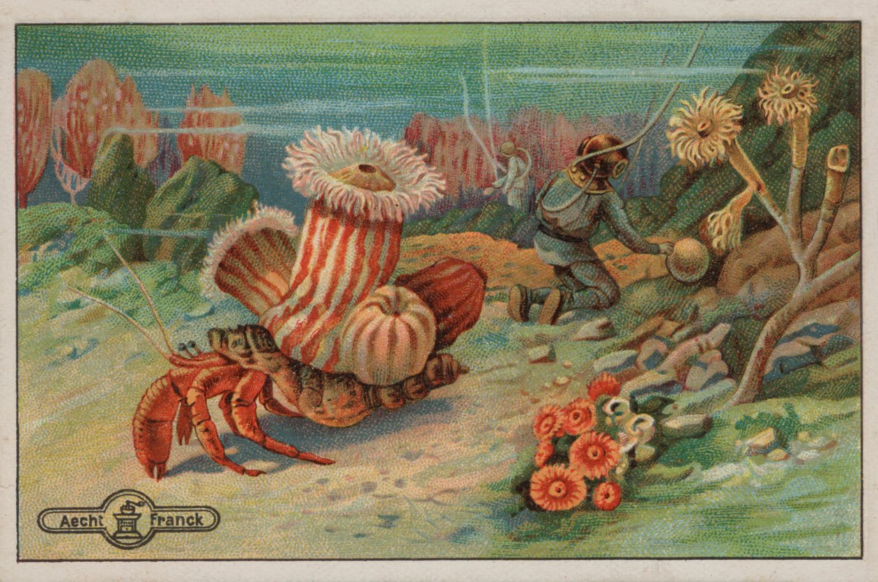 Szene auf dem Meeresboden von European School