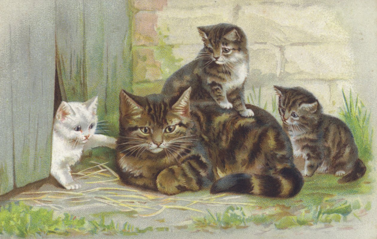 Getigerte Katze mit drei Kätzchen von European School