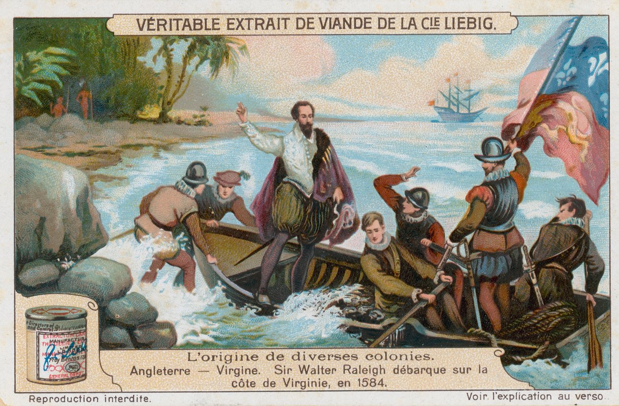 Virginia von European School