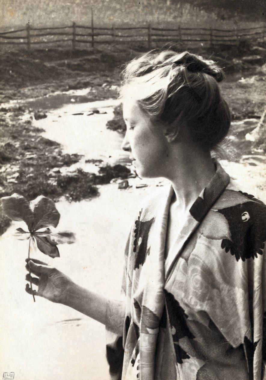 Das Maiapfelblatt von Eva Lawrence Watson Schutze