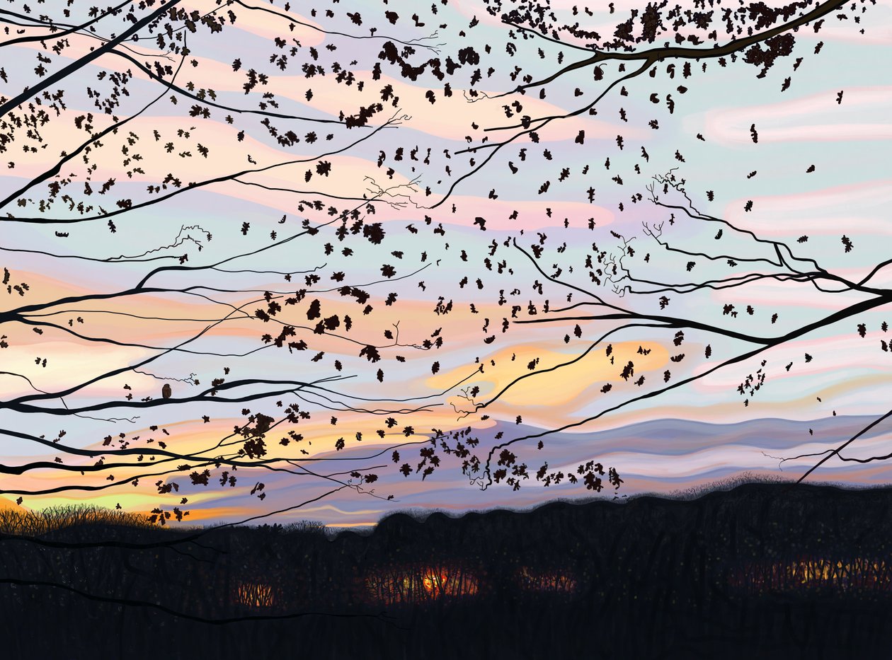 Falke auf Ast, Prospect Park von Evan Sklar