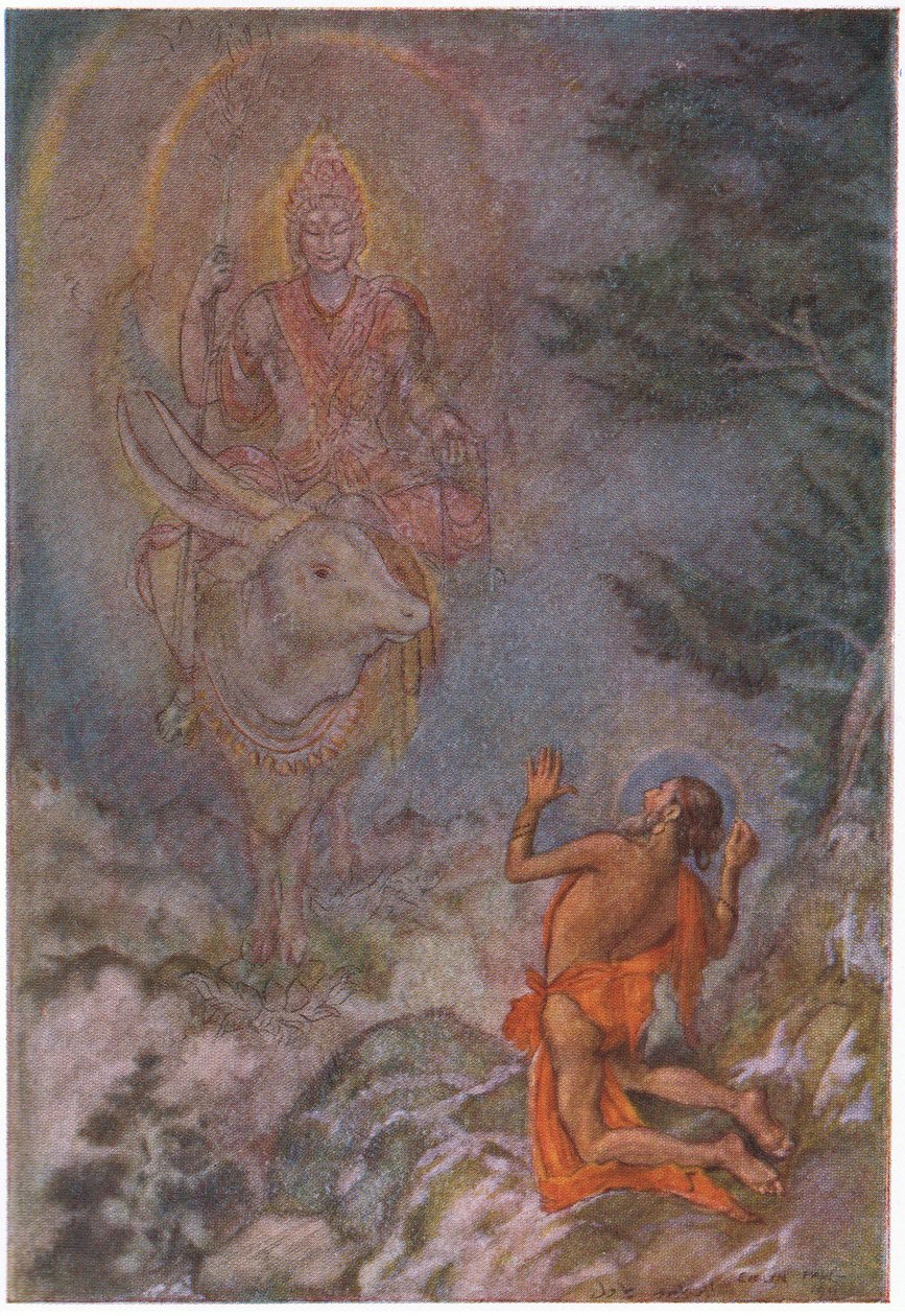 Der Reiter auf dem schneeweißen Stier von Evelyn Paul