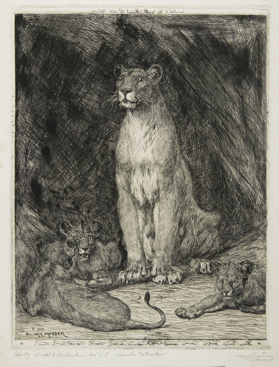 Sitzende Löwin und drei Junge, 1888 von Evert van Muyden