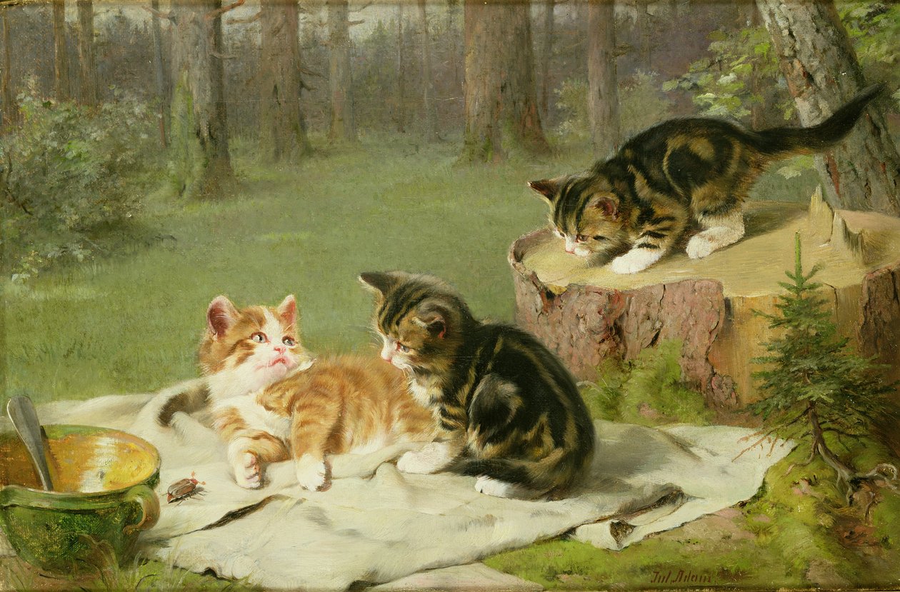 Kätzchen beim Spielen von Ewald Honnef