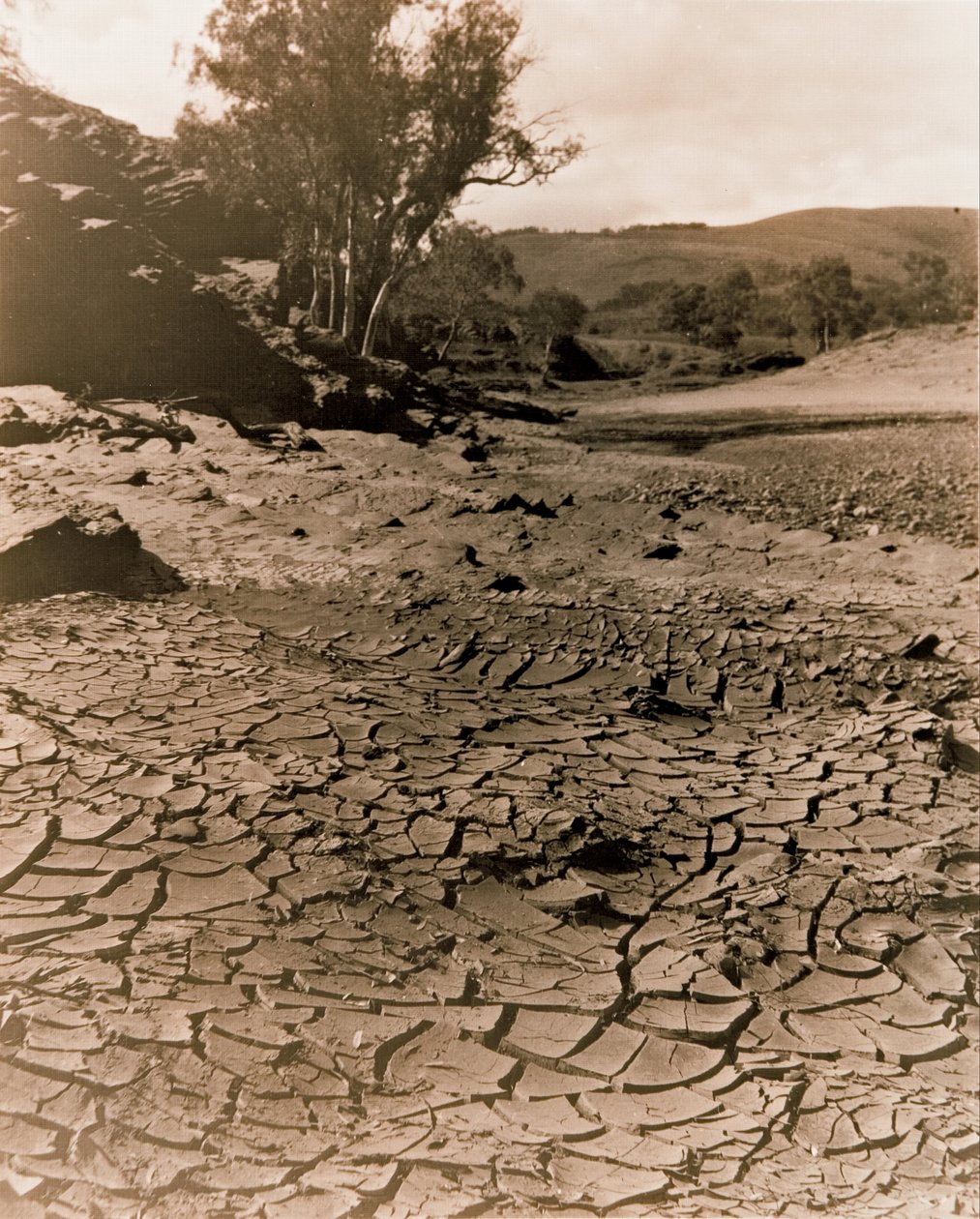 Der verschwundene Pool, Flinders Ranges von F. A. Joyner