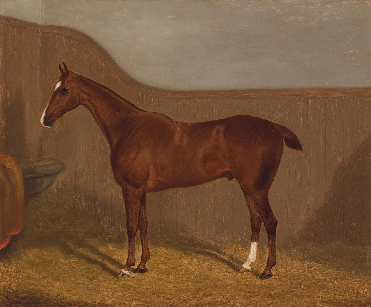 Pferdeporträt (Lady Oswestry oder Dandy) von F. Clifton