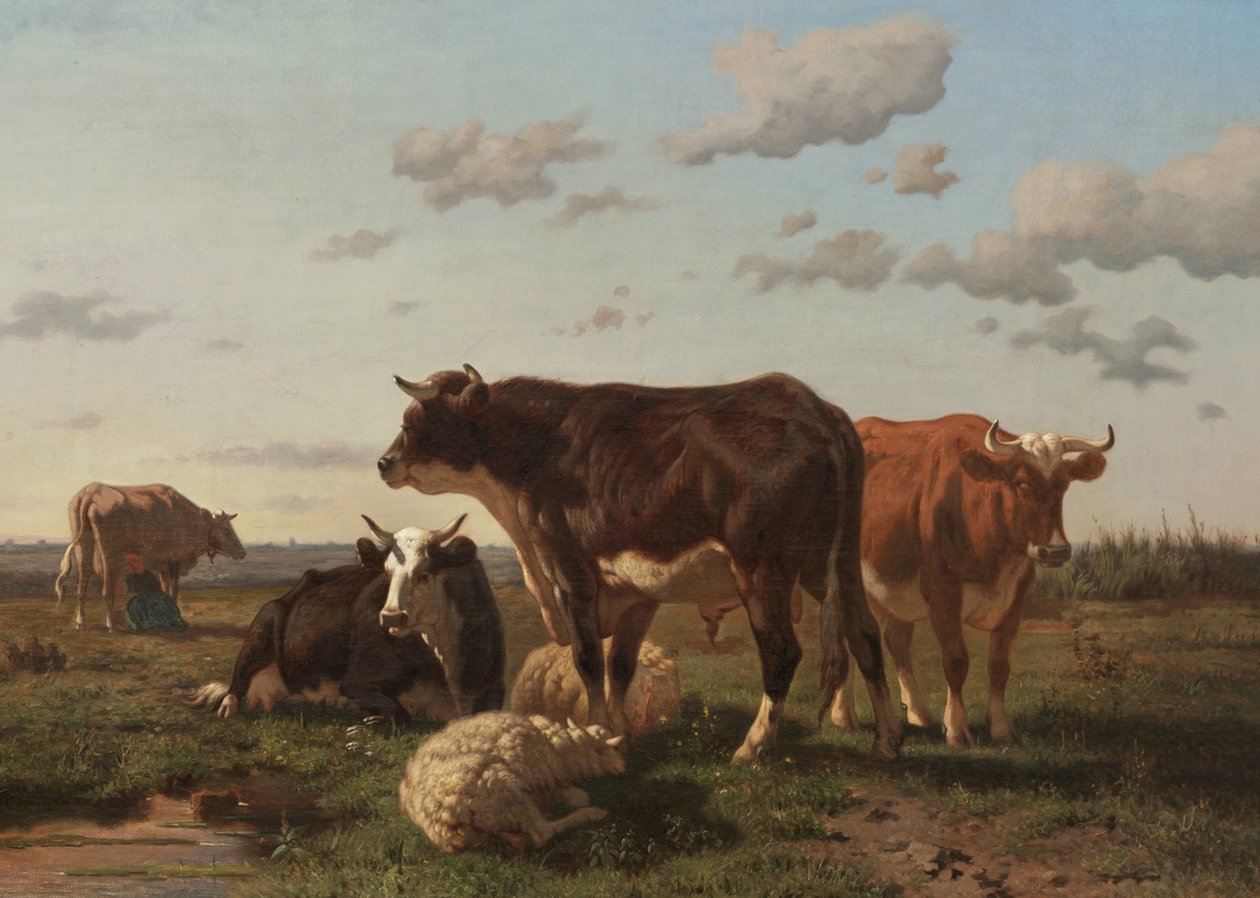 Rinder und Schafe in einer Landschaft, 1850 von F. Jurnet
