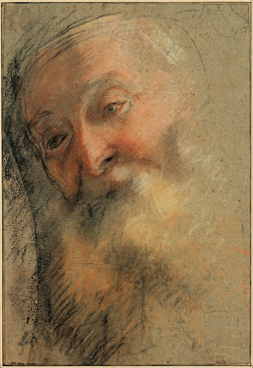 Kopf eines alten bärtigen Mannes von Federico Barocci