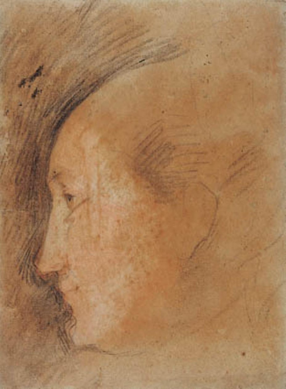 Frauenkopf im Profil nach links von Federico Barocci