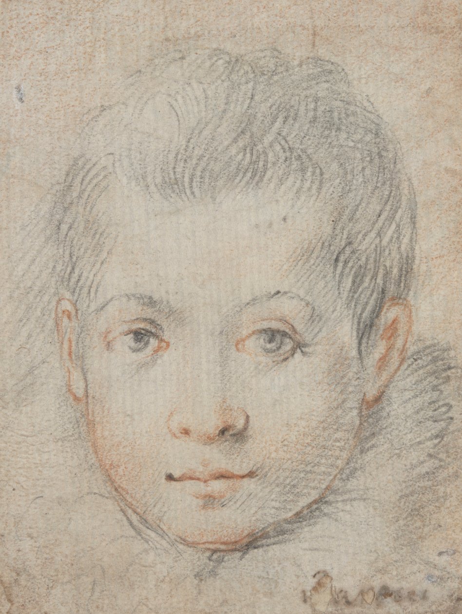 Kopf eines Jungen von Federico Zuccaro