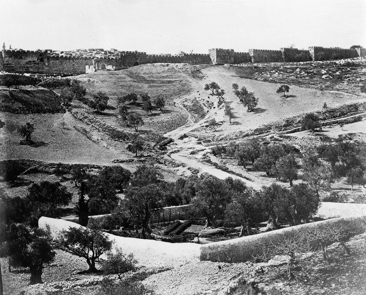 Garten von Gethsemane von Felice Beato