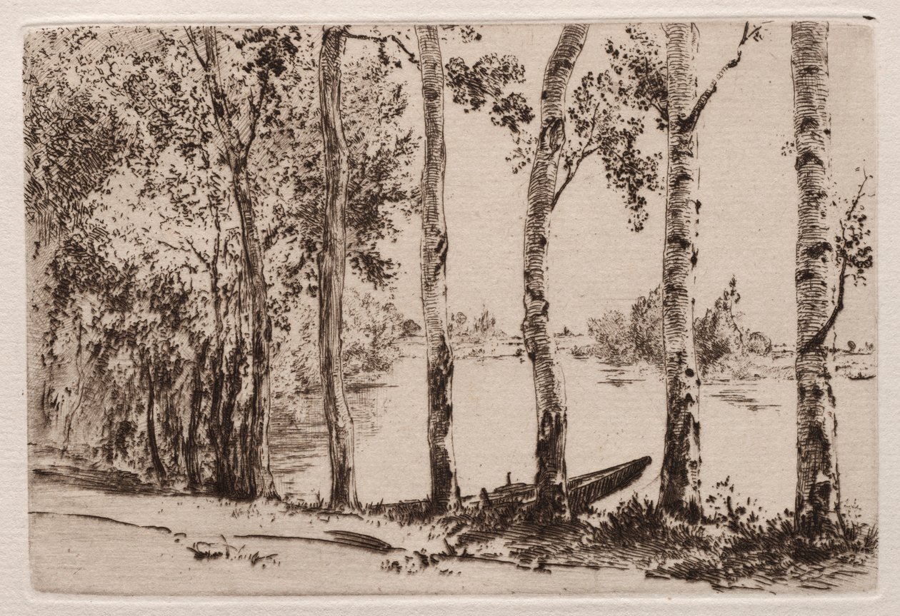 Espen am Ufer der Seine von Felix Bracquemond