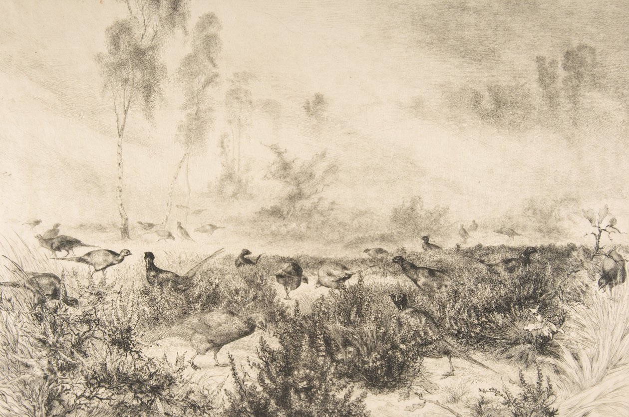Brumes du matin, 1882 von Felix Bracquemond