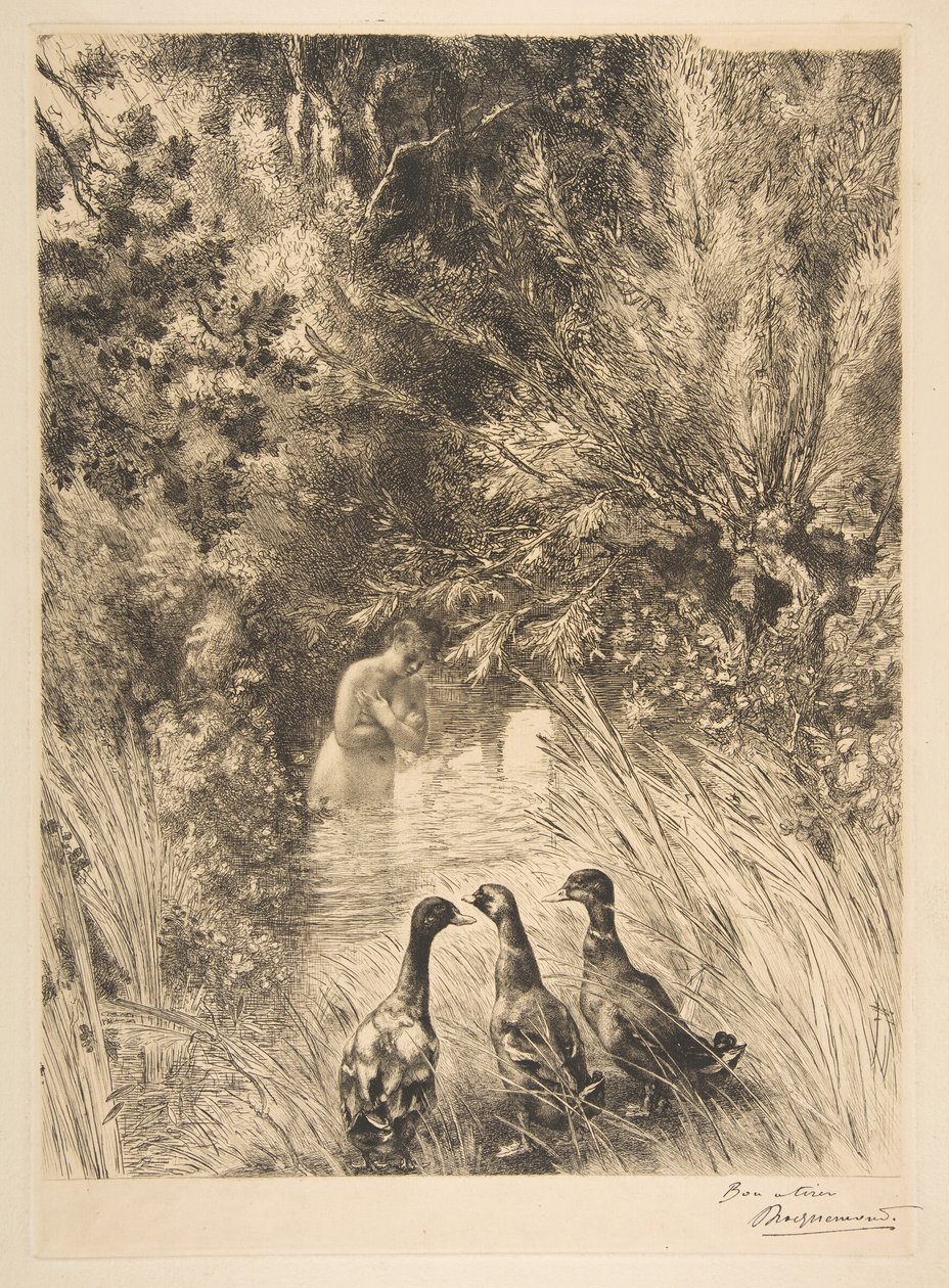 Überraschte Enten, 1882 von Felix Bracquemond