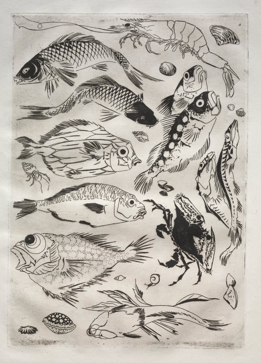 Tafelservice (Rousseau-Service): Fisch (Nr. 24) von Felix Bracquemond