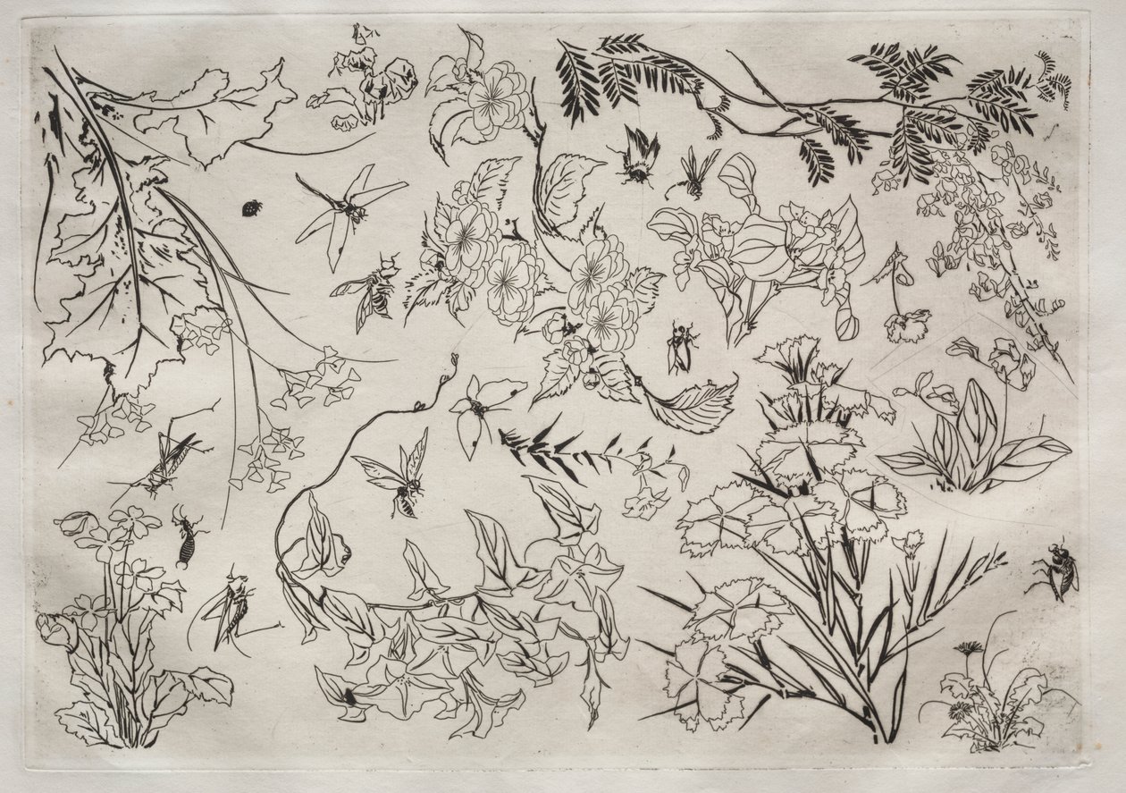 Tafelservice (Rousseau-Service): Blumen (Nr. 22) von Felix Bracquemond
