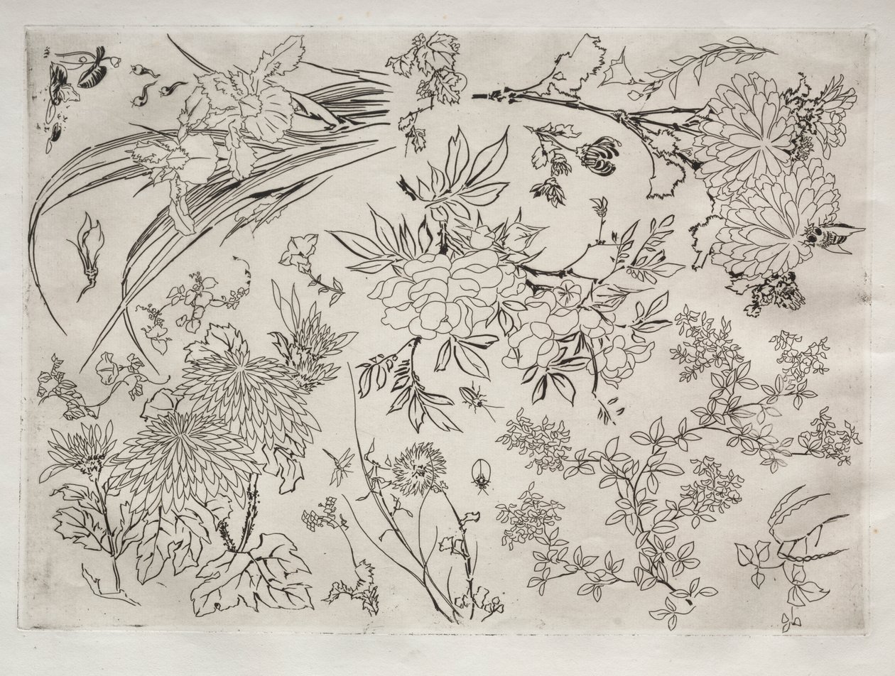 Tafelservice (Rousseau-Service): Blumen (Nr. 23) von Felix Bracquemond