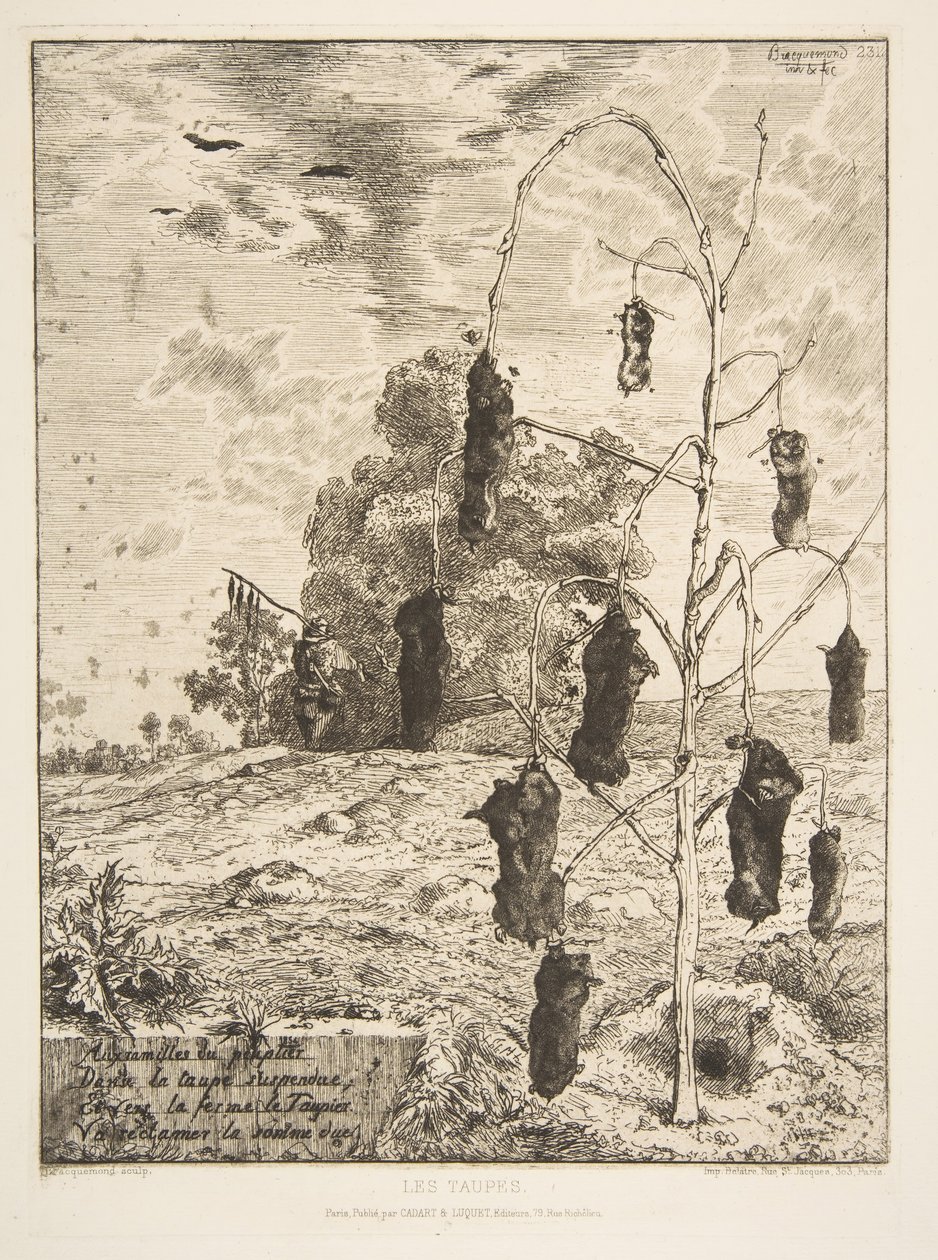 Die Maulwürfe, 1854 von Felix Bracquemond