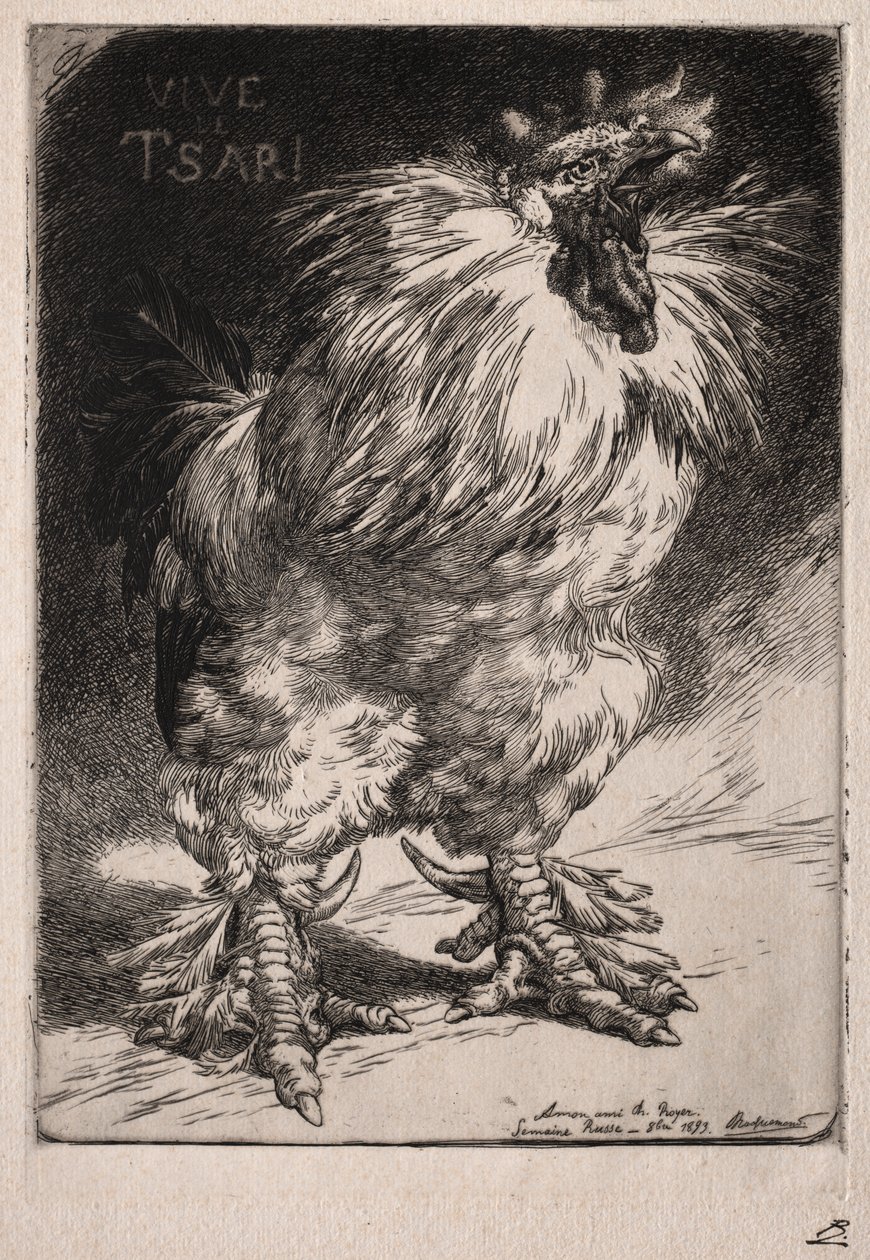 Der französische Hahn von Felix Bracquemond
