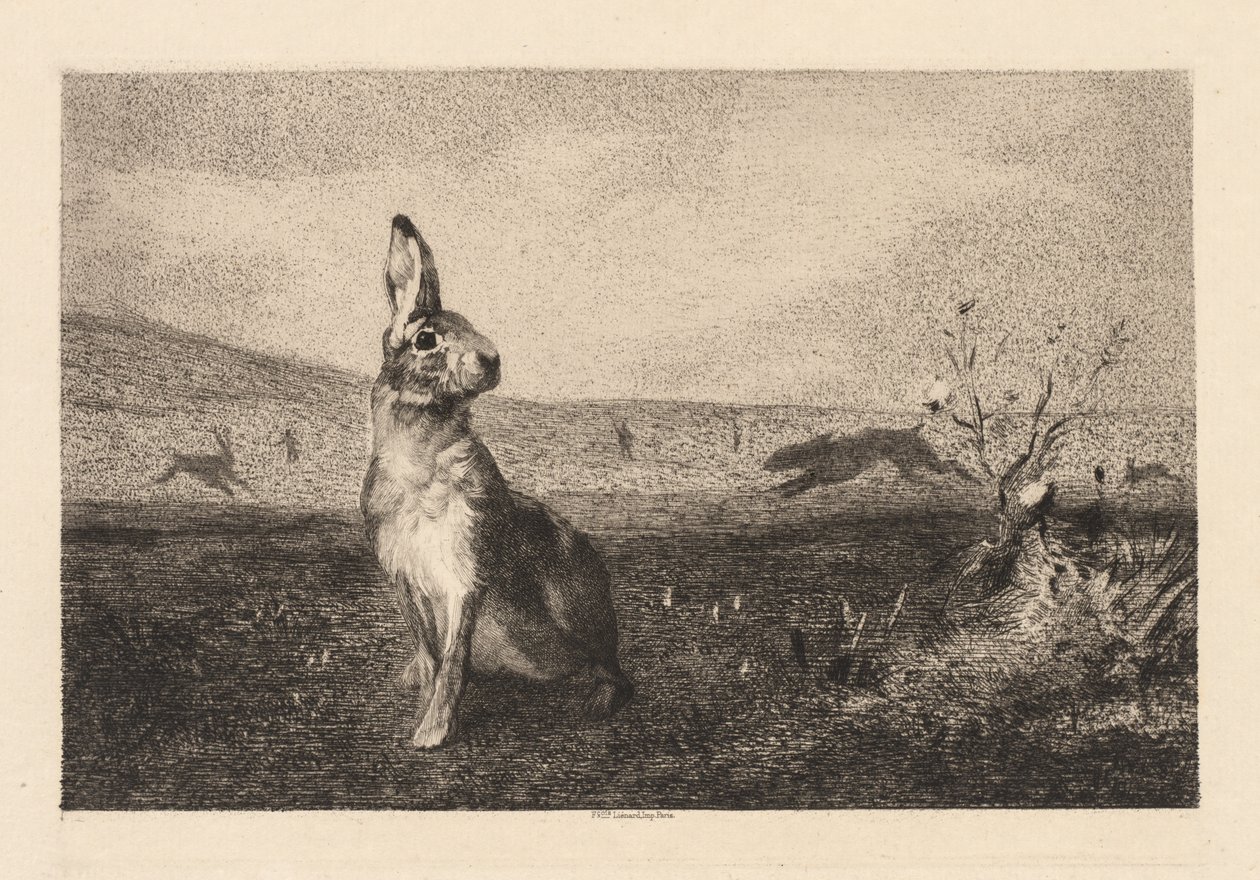 Der Hase (Le Lièvre) von Felix Bracquemond