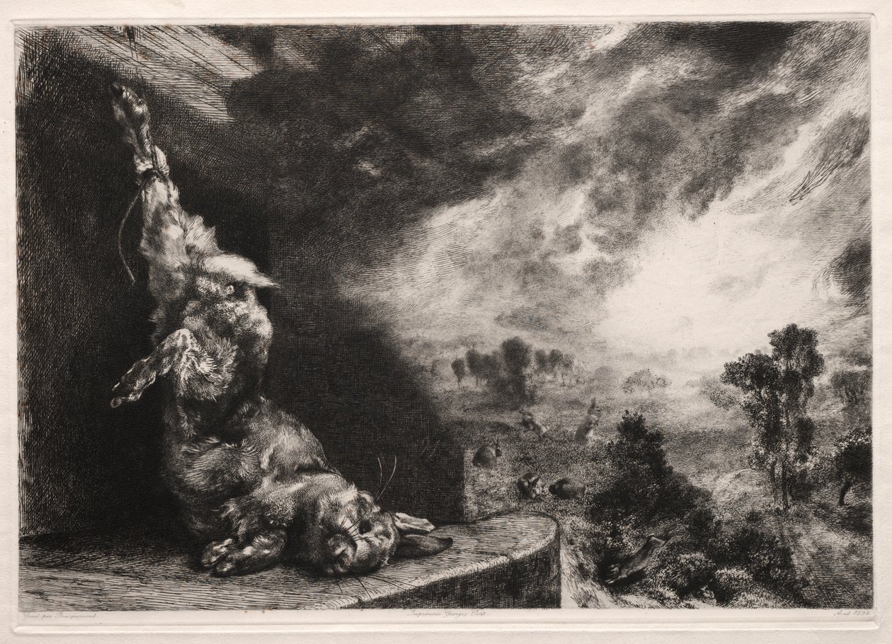 Der große Hase von Felix Bracquemond