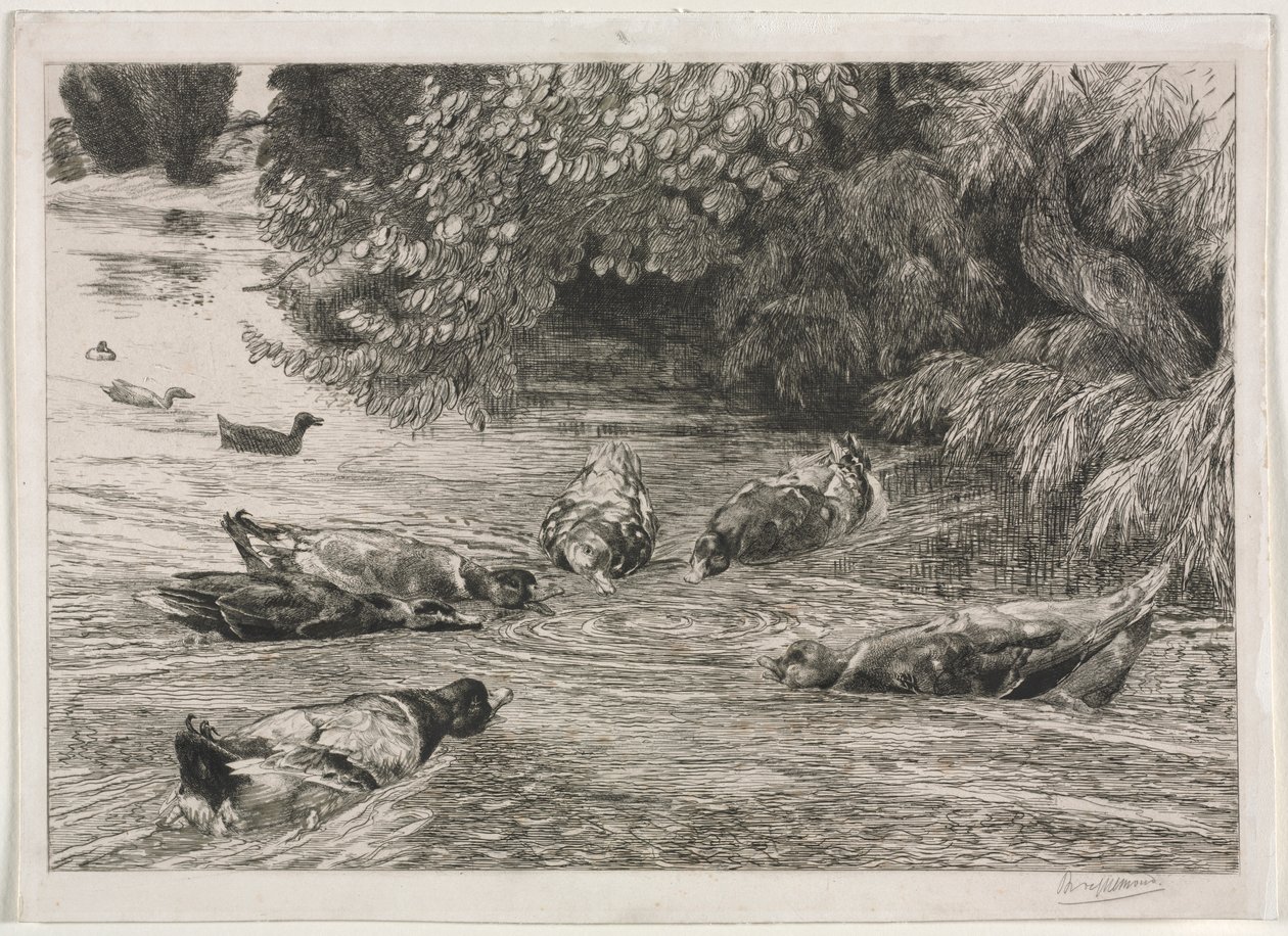 Das Fragezeichen von Felix Bracquemond