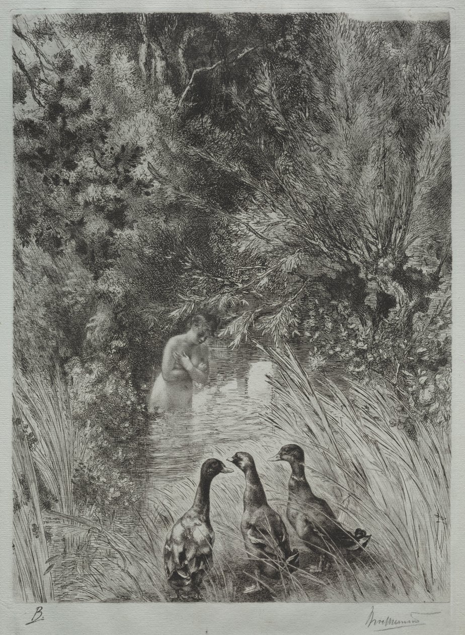 Die überraschten Enten von Felix Bracquemond