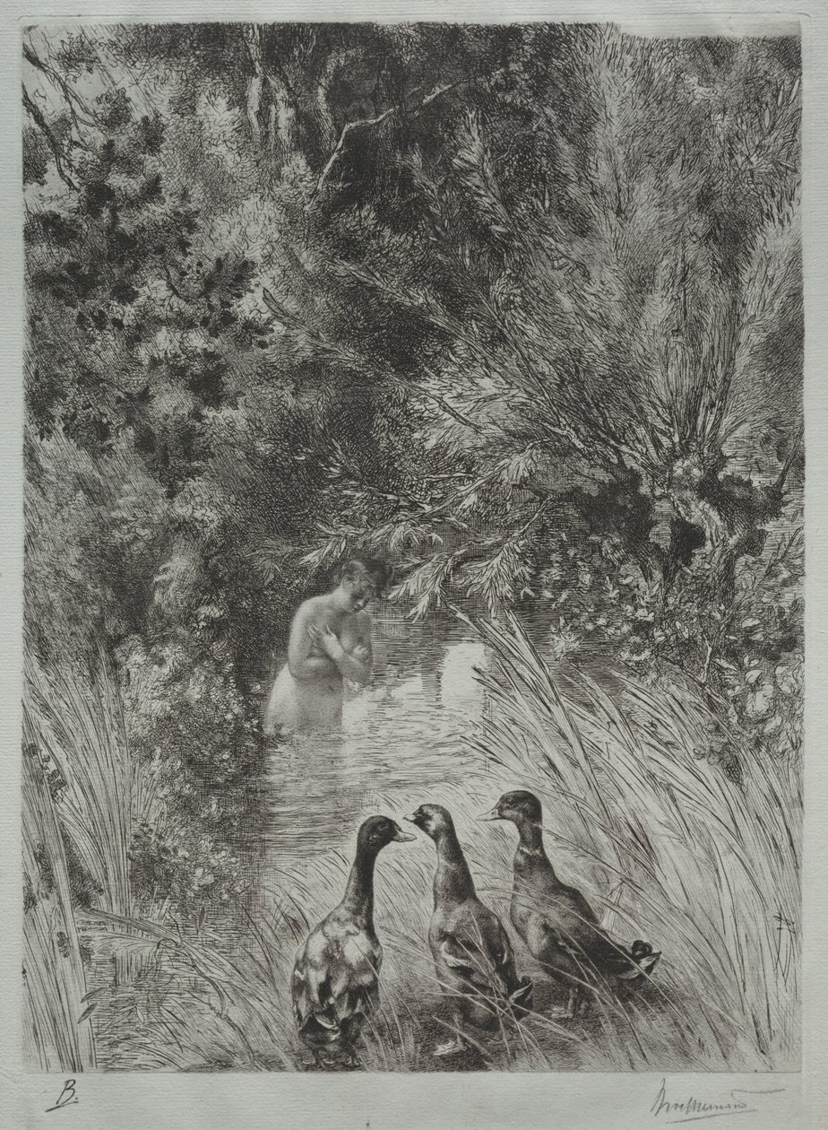 Die überraschten Enten von Felix Bracquemond