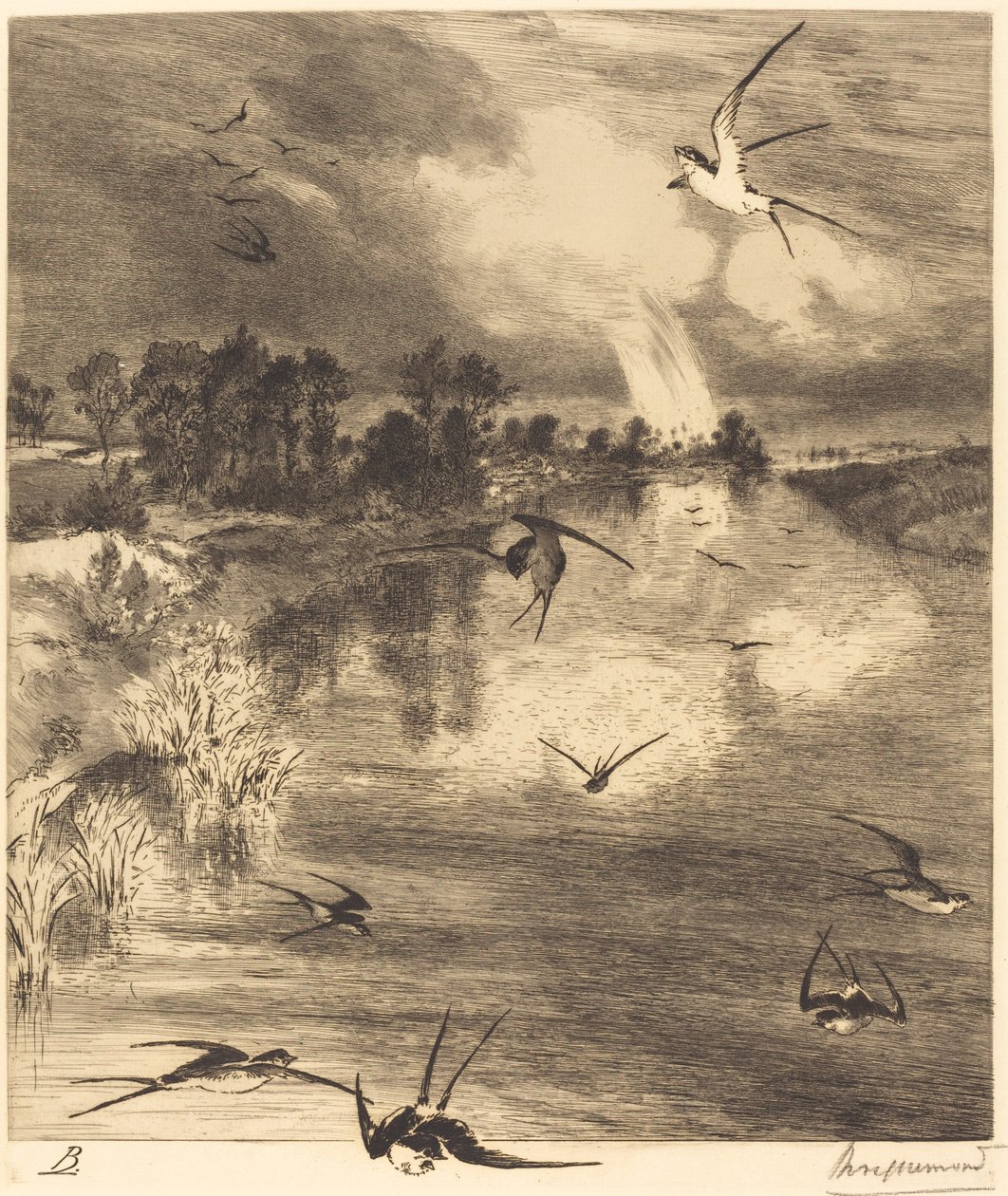 Die Schwalben von Felix Bracquemond