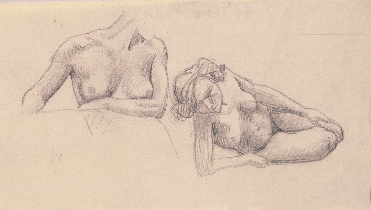 Zwei Studien weiblicher Akte von Felix Edouard Vallotton