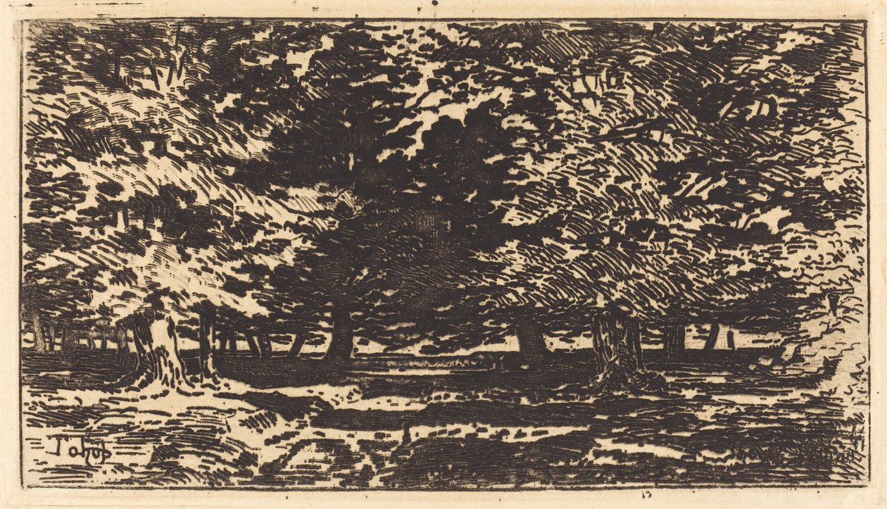 Wald von Felix Hilaire Buhot