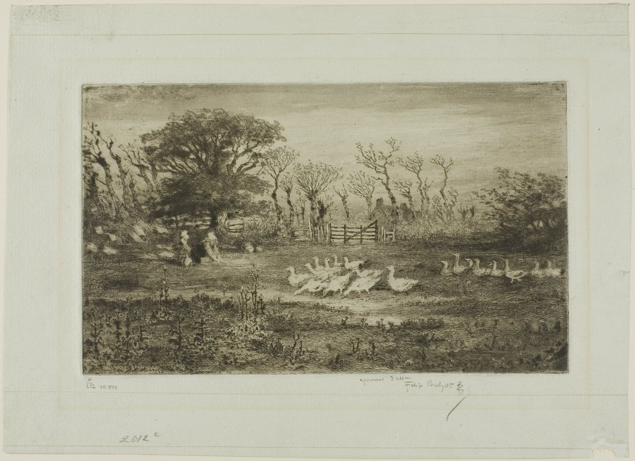 Gänse von Felix Hilaire Buhot