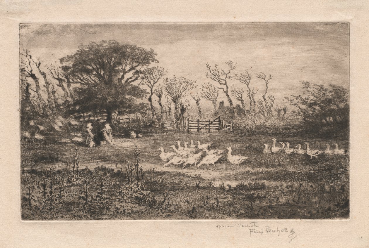 Gänse von Felix Hilaire Buhot