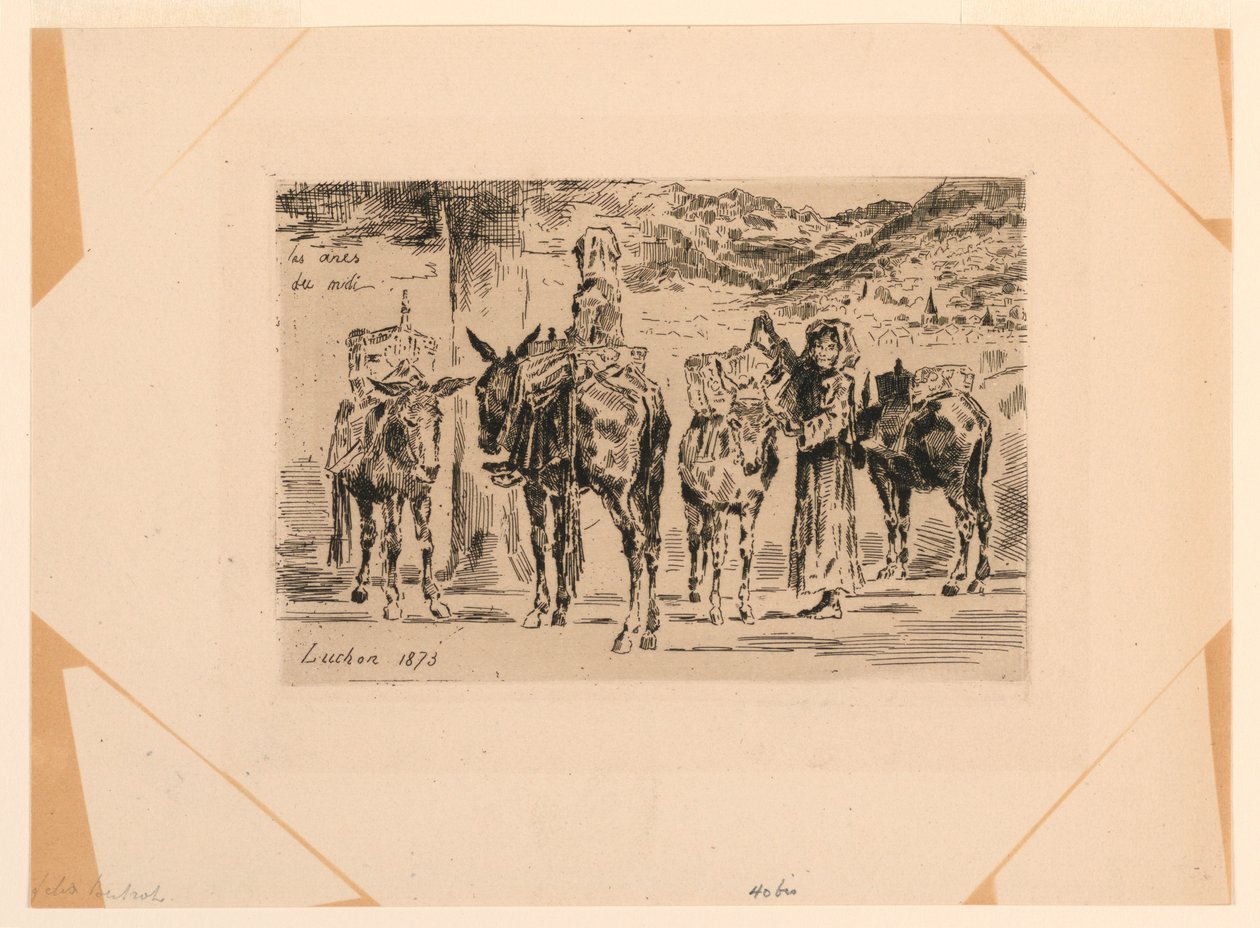 Die Esel des Südens von Felix Hilaire Buhot